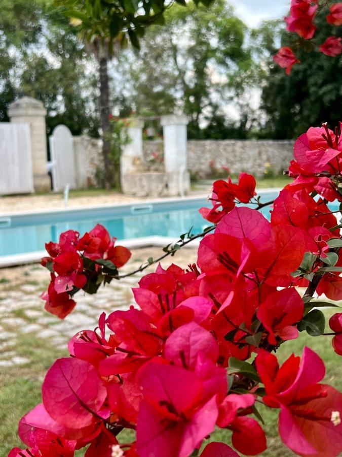 Villa Encantamiento - Dimora Gelsomino - Masseria Storica Nel Cuore Della Puglia Con Piscina Latiano Luaran gambar